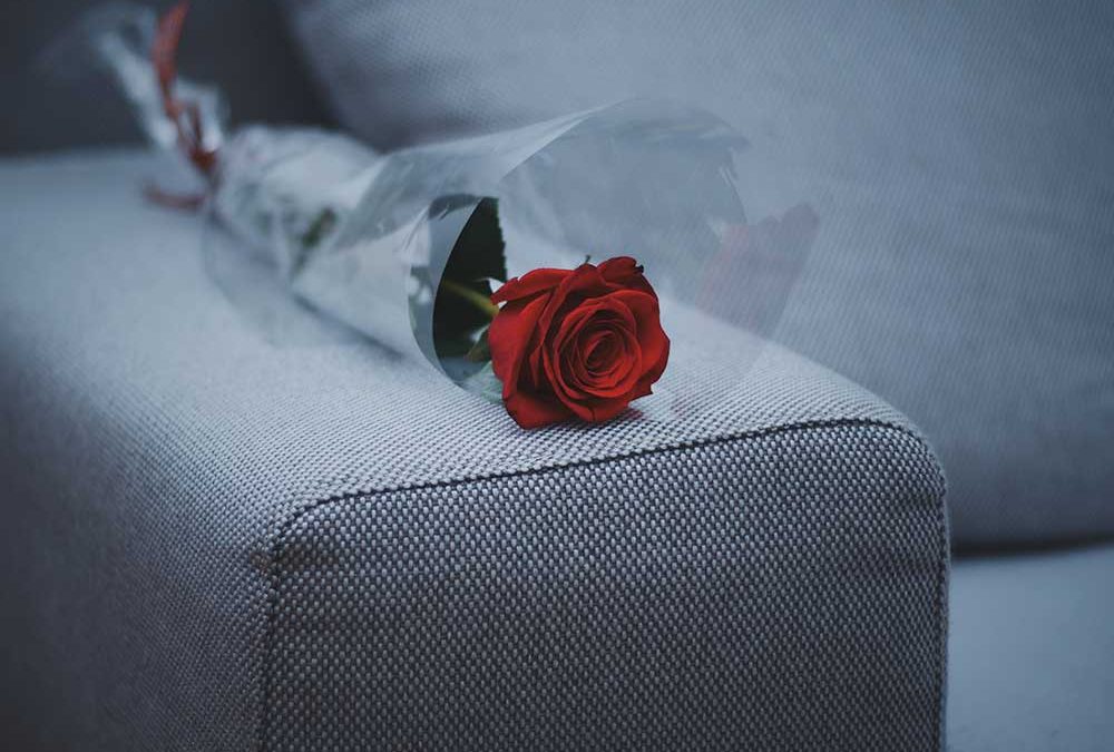 red rose on couch